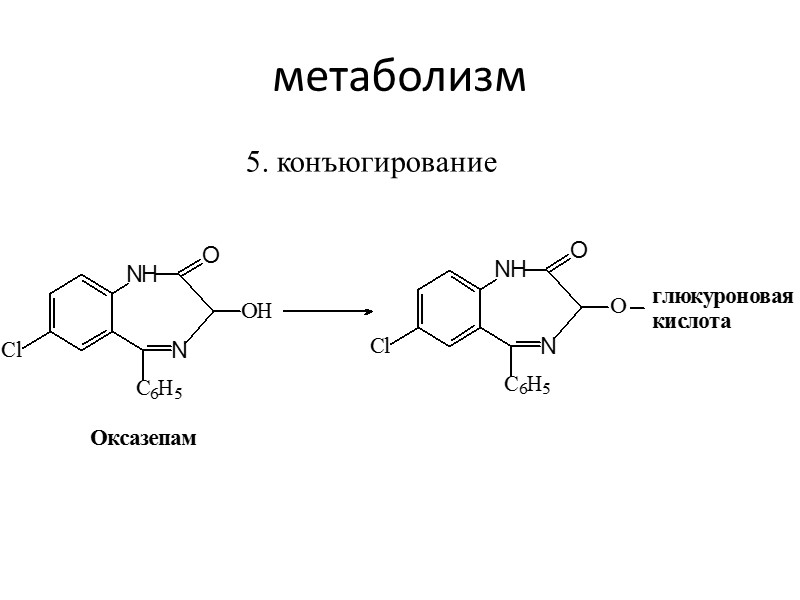 метаболизм 5. конъюгирование